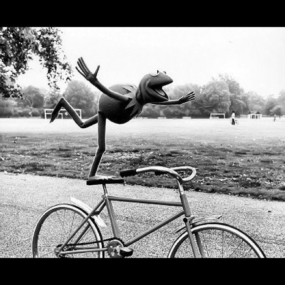 Meet your Posher, Susan - Picture 2 of 6